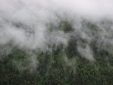 Chamonix and landscape