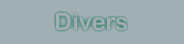 Divers