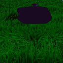 Meadows