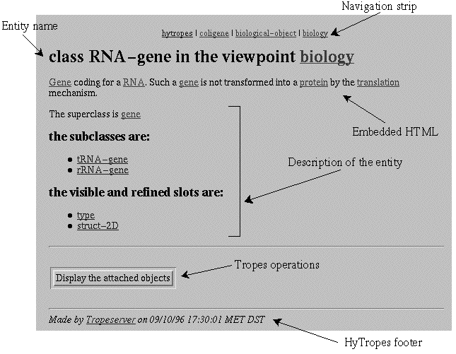 Detail of a HyTropes page