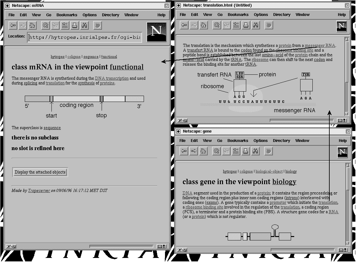 Hypertext pages embedding