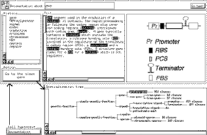 Shirka et hypertexte